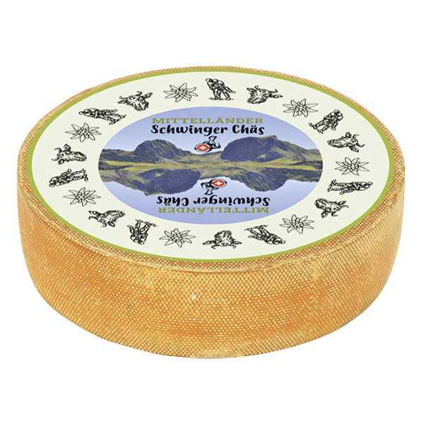 Mittelländer Schwingerchäs